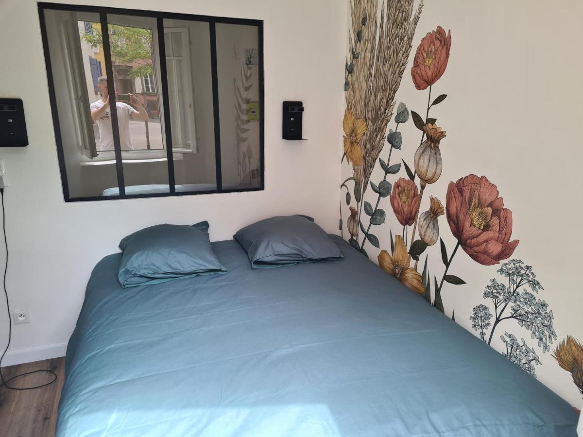 Appartement Cosy Avec Jardin Au Centre Historique De Selestat & Proche Europa-Park Экстерьер фото